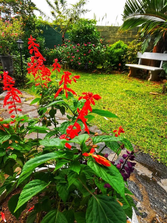 Barefoot Inn Kandy Dış mekan fotoğraf